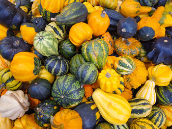 High angle view of pumpkins in market