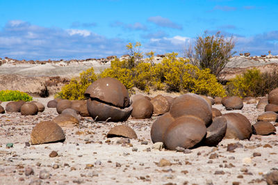 Rocks on shore against sky