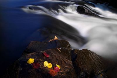 High angle view of rocks on shore