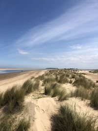 Scenic view of beach against sky