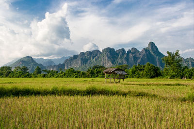 Green field and mountain against sky