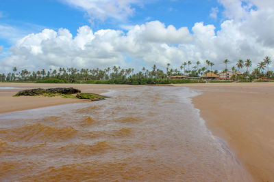 Scenic view of beach against sky