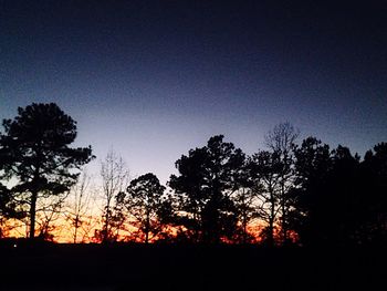 Silhouette of trees at sunset