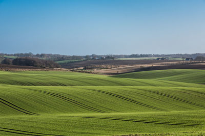 Scenic view of agricultural field against sky