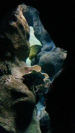 Rock formations in sea