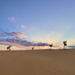 People at beach against sky during sunset