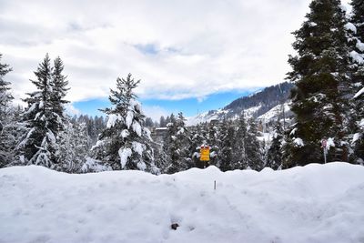 Snow covered trees on mountain against sky