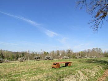 Scenic view of agricultural field against blue sky