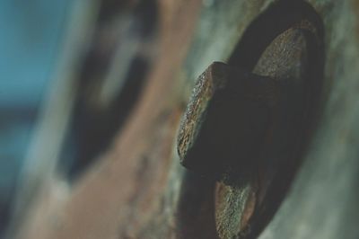 Close-up of rusty metal