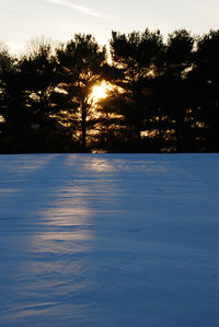 Silhouette trees by lake against sky during winter