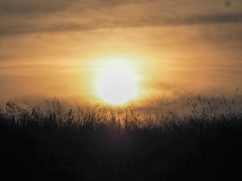 Scenic view of field against sky during sunset