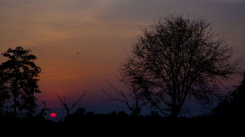 Silhouette tree against sky during sunset