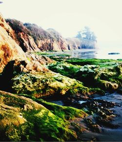 Rock formations in sea