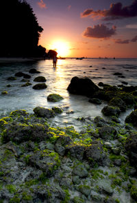 Scenic view of sea against sky during sunset