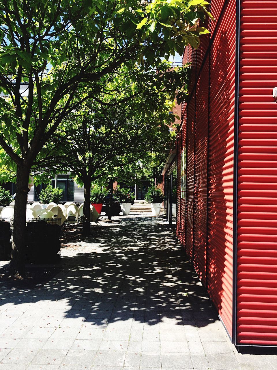 tree, the way forward, built structure, architecture, footpath, red, diminishing perspective, city, growth, walkway, narrow, outdoors, day, pathway, empty, vanishing point, no people, long, alley, nature