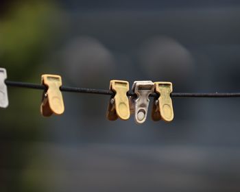 Close-up of clothespins hanging on rope