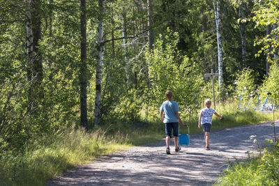 Rear view of man walking in forest