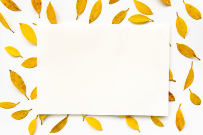 High angle view of yellow paper against white background