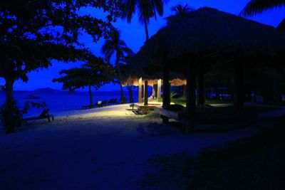 Silhouette palm trees at beach against sky at night