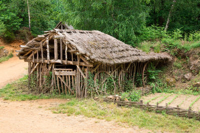 Old wooden house by trees in forest