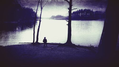 Reflection of trees in lake