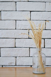 Close-up of vase against wall