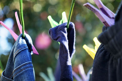 Close-up of clothes hanging on strings