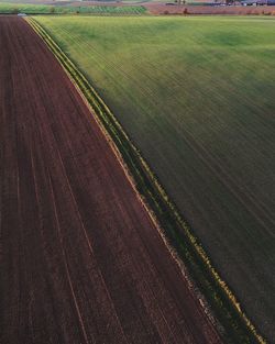 Scenic view of agricultural field