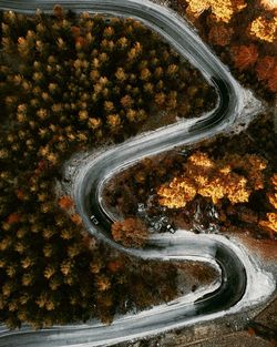 High angle view of road amidst trees