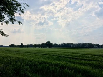 Scenic view of field against cloudy sky