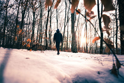 Rear view of man walking on snow covered land