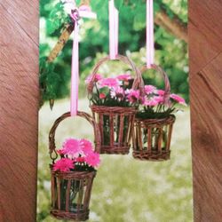 Close-up of pink flowers