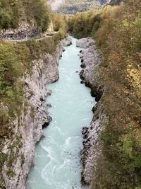 High angle view of river amidst trees in forest