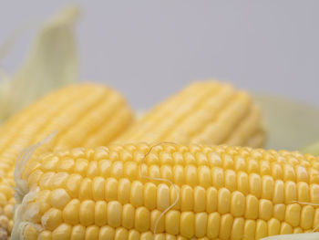 Close-up freshness seeds of sweet corn in a row and water drop with blurred backgrounds.