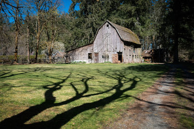 Scenic view of trees and houses in park