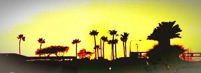 Silhouette plants against sky during sunset