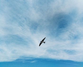 Low angle view of airplane flying in sky