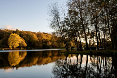 Scenic view of lake against clear sky during autumn