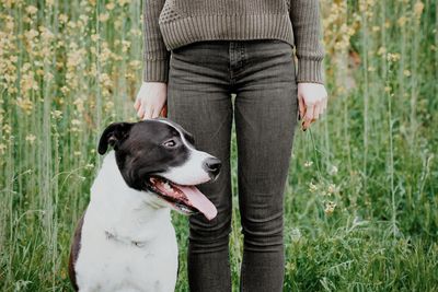 Low section of person with dog standing on field