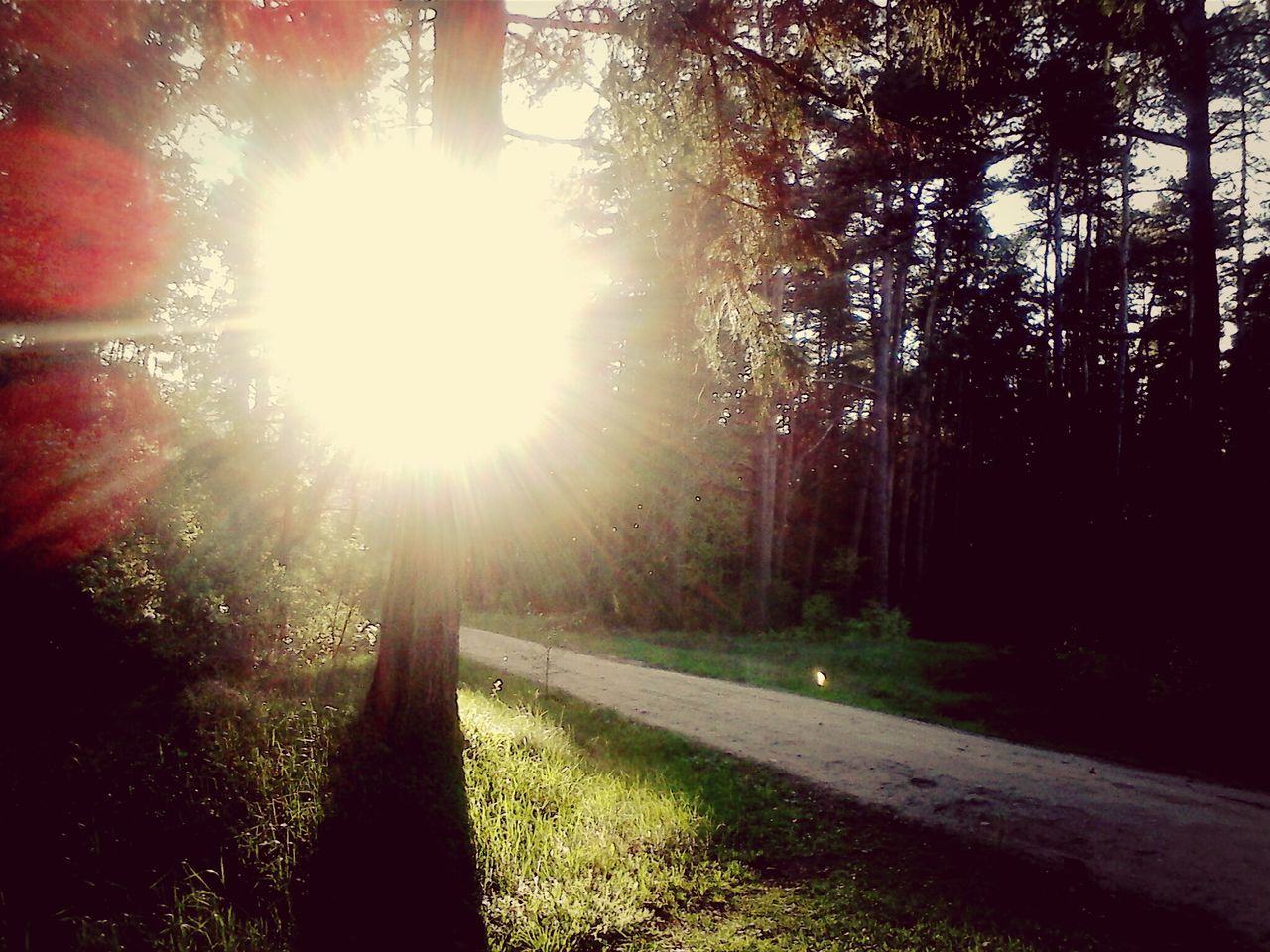 Behind tree