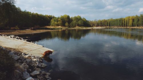 Scenic view of lake by trees against sky