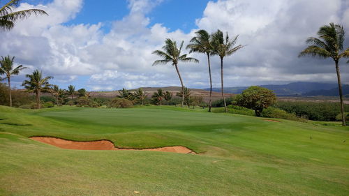 Palm trees on golf course against sky