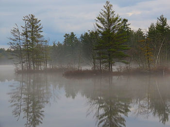 Reflection of trees in lake against sky