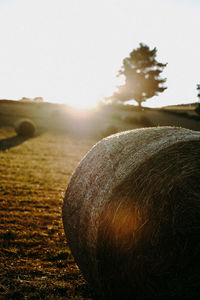 Hay bales on field against sky