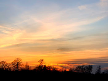 Silhouette trees against sky during sunset