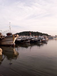 Boats moored in harbor against sky