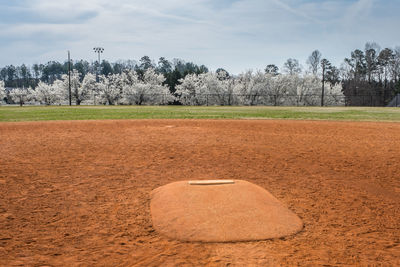 Standing in front of a pitchers mound looking towards the outfield with white flowering trees 
