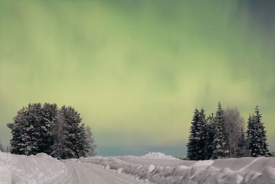 Trees on snow covered field against sky