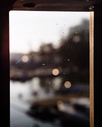 Close-up of spider web on glass window