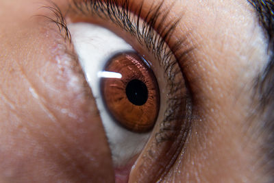 Extreme close-up of human eye